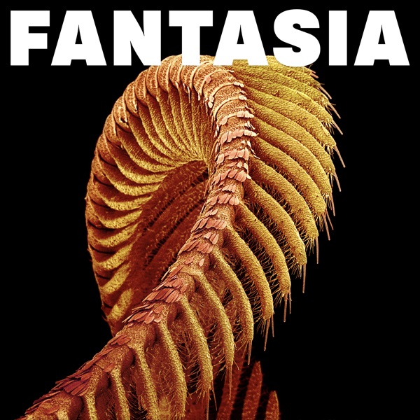 SLIFT — Fantasia